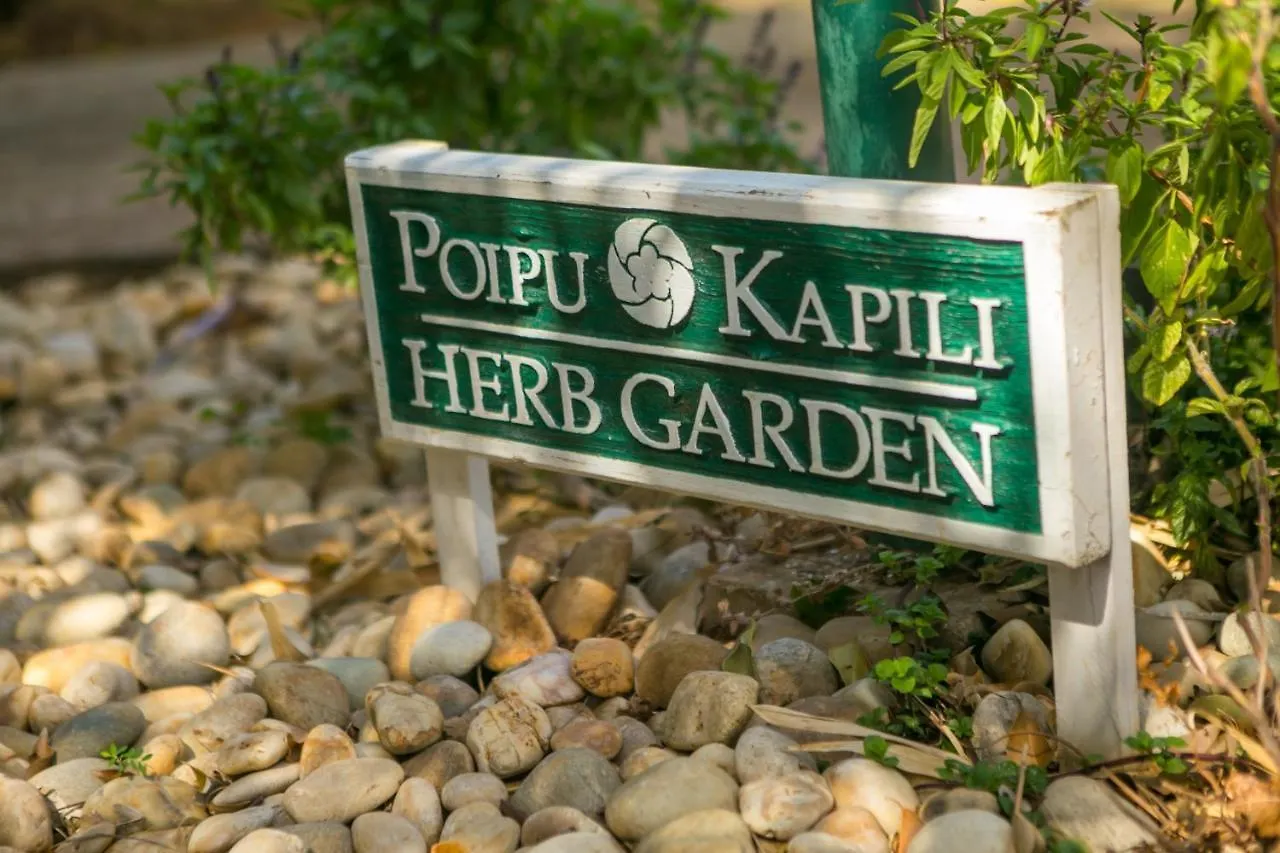 Top Floor Ocean View Condo At Poipu Kapili- Alekona Kauai Koloa Holiday home